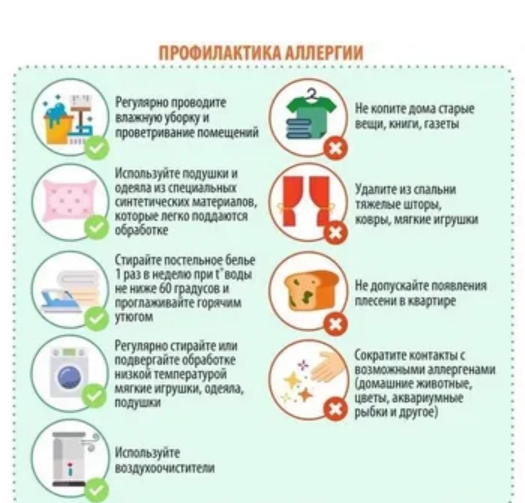 WhatsApp Image 2025 07 08 at 100741