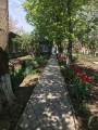 IMG 4868 2