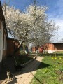IMG 4883