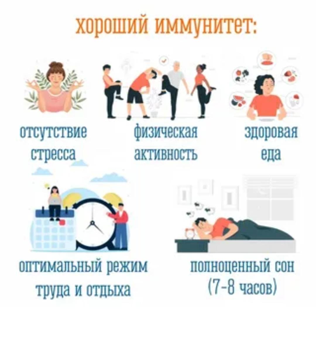 WhatsApp Image 2025 04 24 at 133239 1
