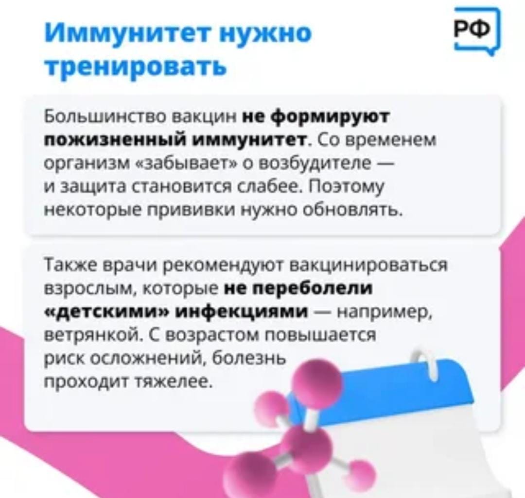 WhatsApp Image 2025 04 24 at 133239 2