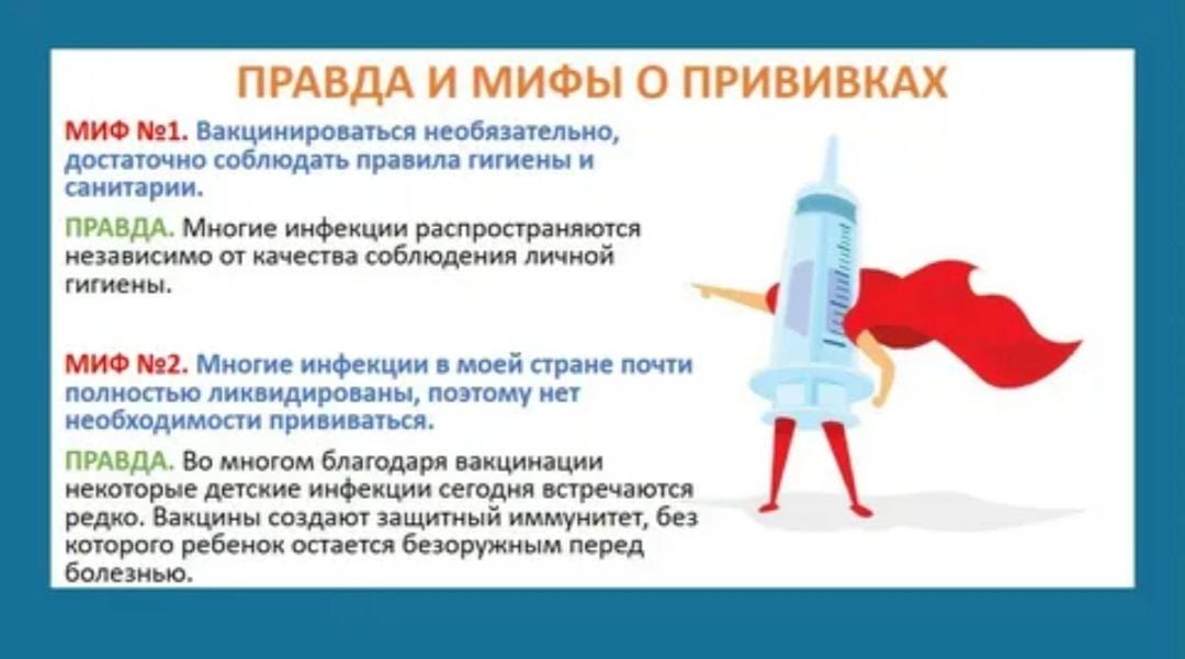WhatsApp Image 2025 04 24 at 133240 3